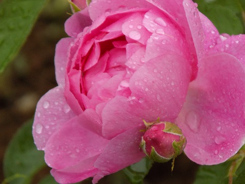 DSCN3863.JPG