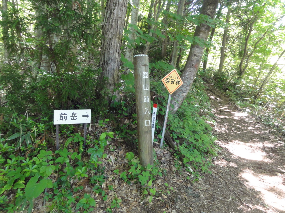 DSC08446.jpg