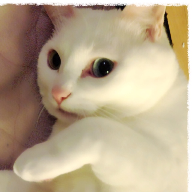 rblog-20130328122841-03.jpg