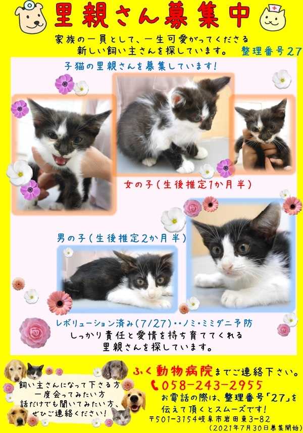 新しい飼い主さん募集してます