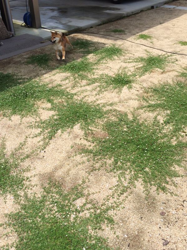 rblog-20150718195043-04.jpg