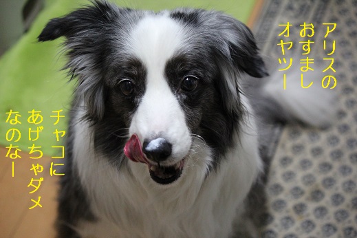 チャコにはあげない