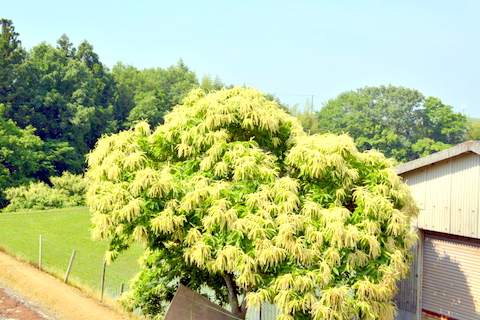 遠景-2