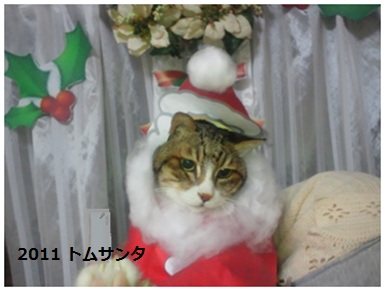 2011 クリスマス（トム）2