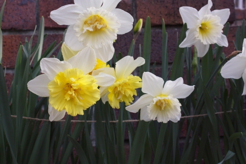 20160414003.JPG