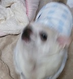 1451878165437.jpg