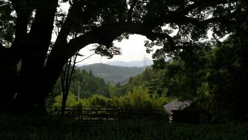 rblog-20170624131253-02.jpg