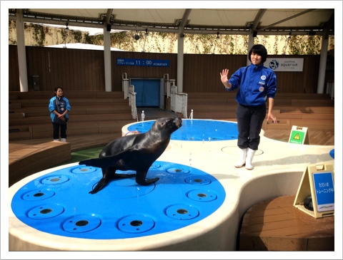 サンシャイン水族館