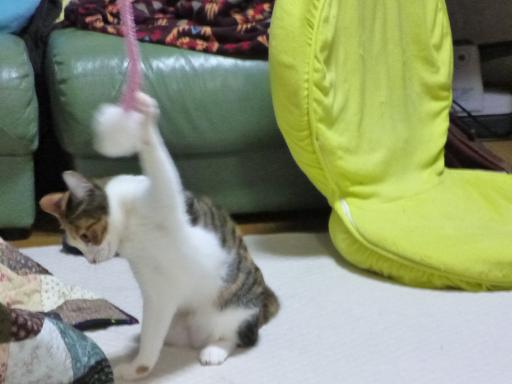 画像 2678.jpg