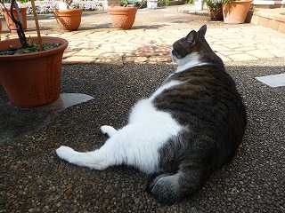 P1020330ss.jpg
