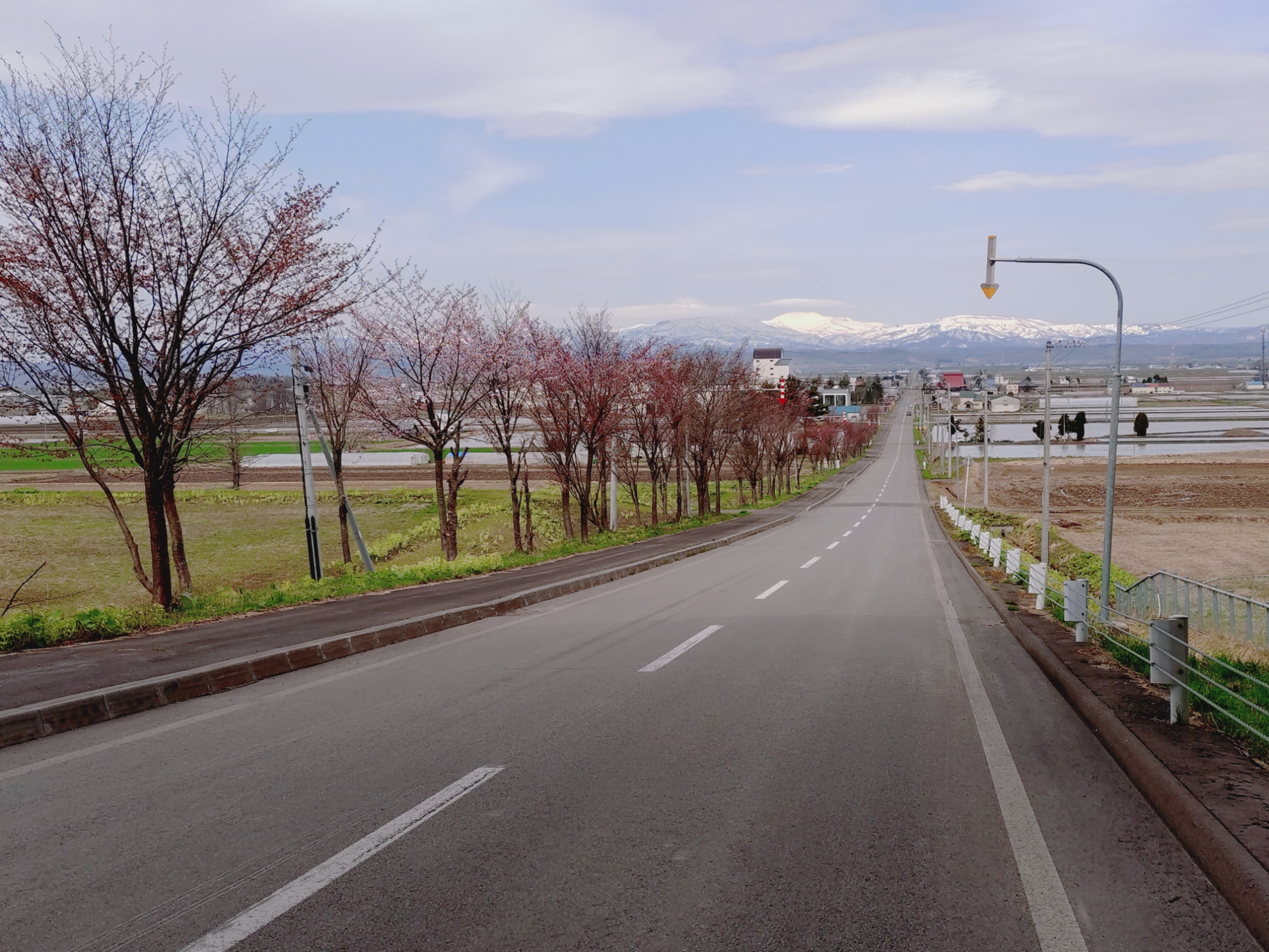 老化を抑えるにはランニングしないほうがいいらしい | 温泉ランニング - 楽天ブログ