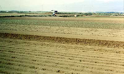 洗馬農協の圃場