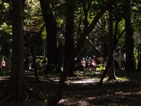 DSCF2883.JPG