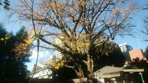 rblog-20171218220602-03.jpg
