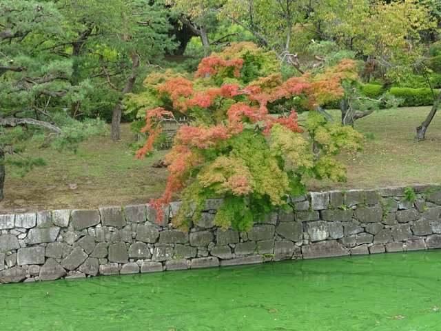 DSC05587_R.JPG