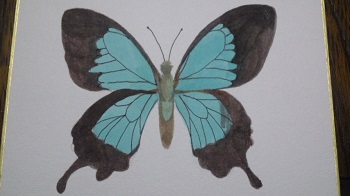 20130314-4.jpg