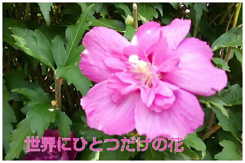 rblog-20160830195911-00.jpg