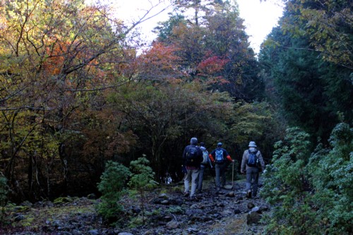 八幡峠の紅葉