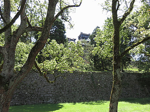 IMG_4760.jpg