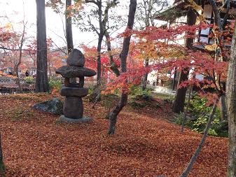 紅葉２.JPG