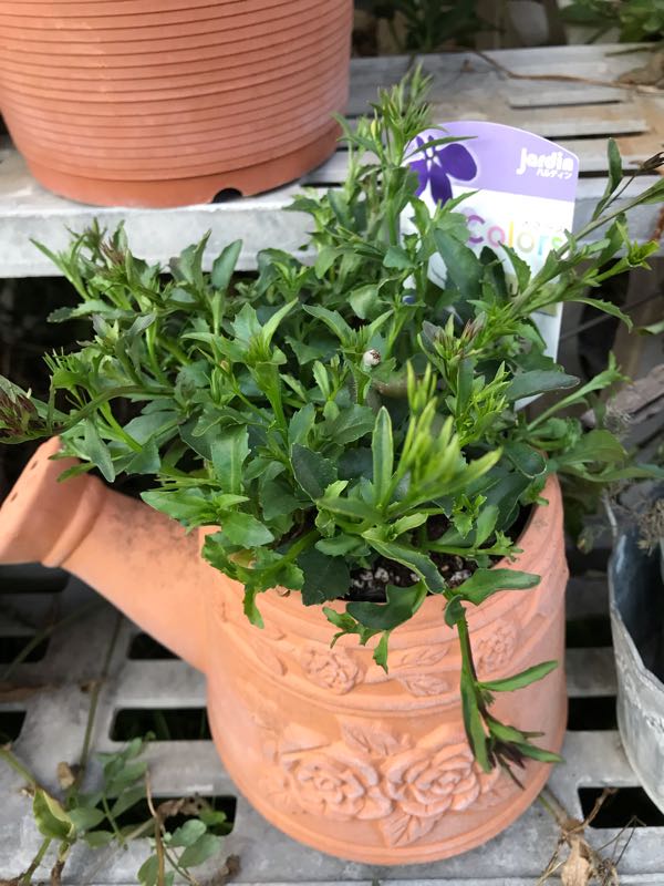 rblog-20190324174258-04.jpg