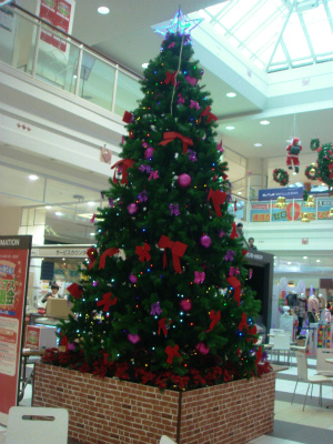 DSC08815.jpg