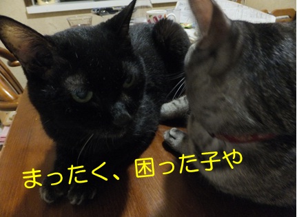 20120907_4.jpg