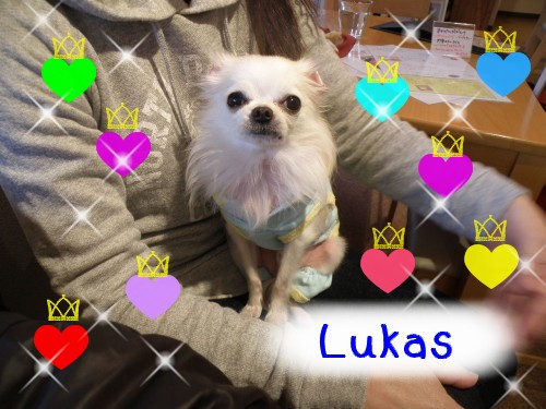 Lukas.JPG