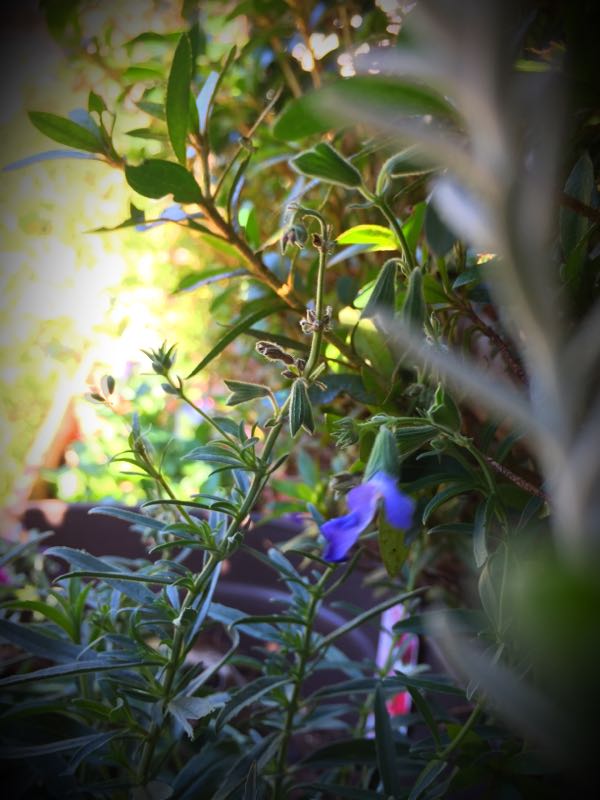 rblog-20151025172805-04.jpg