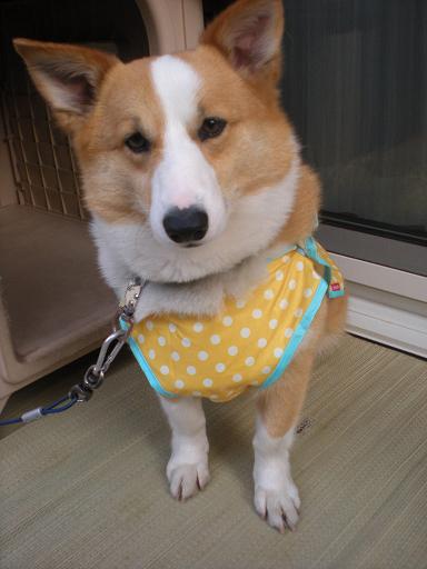 20120512061052.jpg