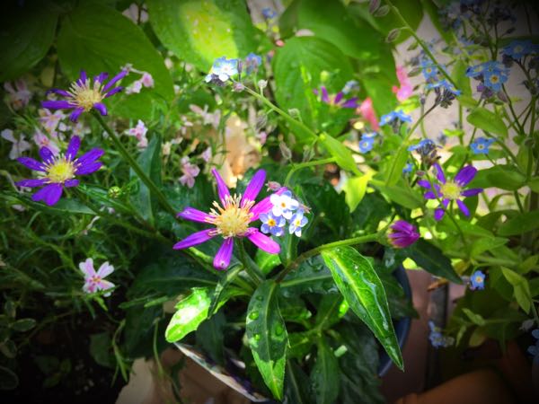 rblog-20160430164719-09.jpg