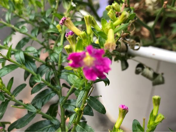 rblog-20181203160949-06.jpg