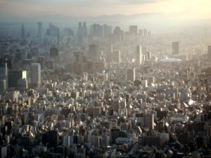 都庁東京ドーム
