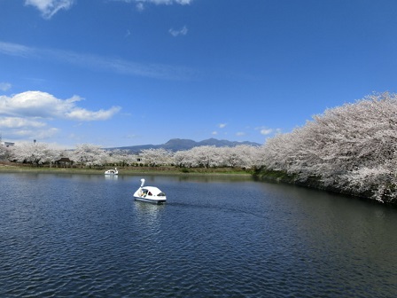 やち公園