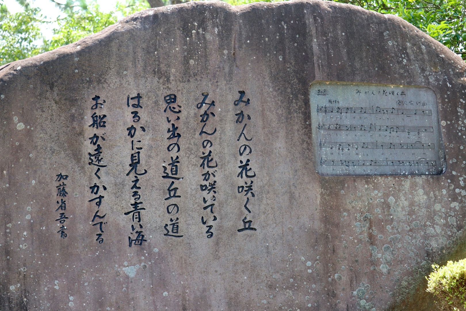 みかんの花咲く丘 ぱるちゃんのブログ 旅人をお迎えしたり旅人だったり 楽天ブログ
