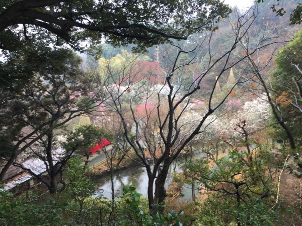 rblog-20190228175047-04.jpg