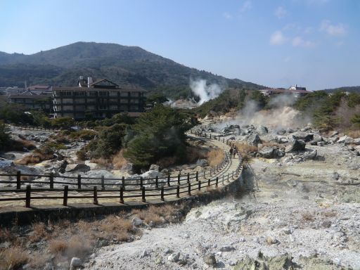 CIMG4974_512.jpg
