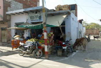 インド170.jpg