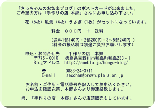 告知文イメージ