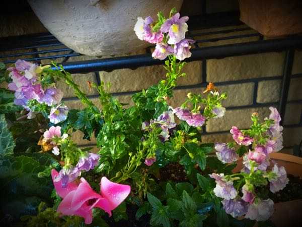 rblog-20151229110936-03.jpg
