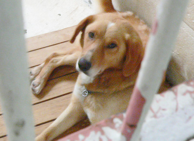 20140708i.jpg