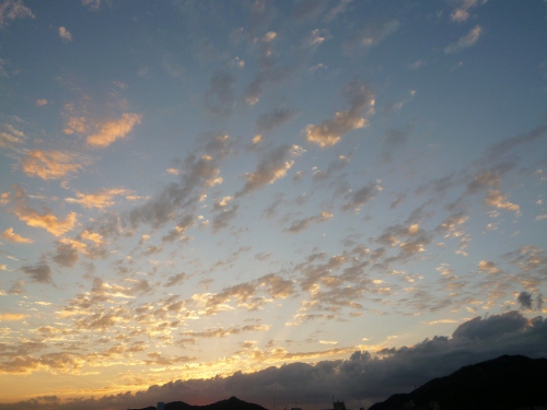 009 (500x375).jpg