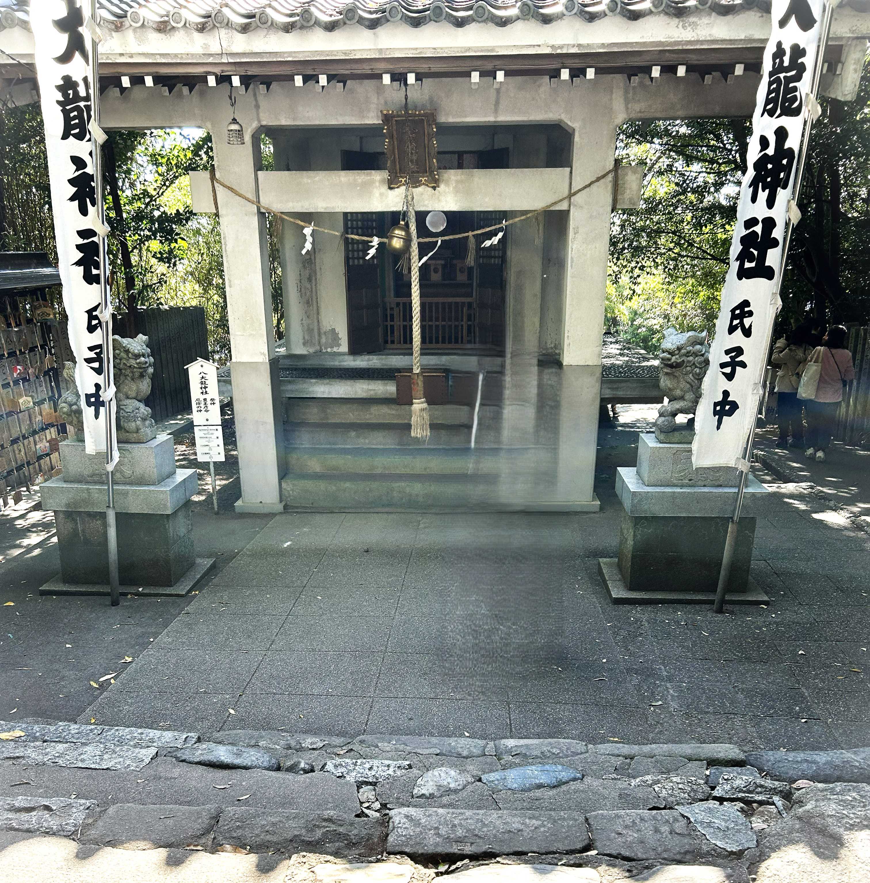 再開、残り30日！！パワースポット巡り、竹島、国の天然記念物 | 日々の出来事（daily events) 笑門来福 - 楽天ブログ