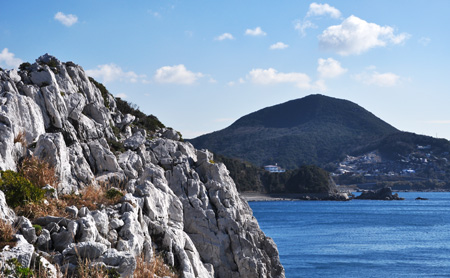 海
