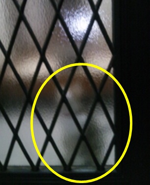20120912_2.jpg