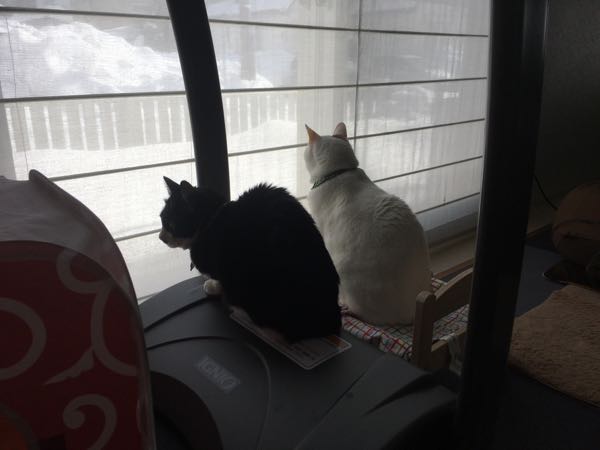 rblog-20180116062205-01.jpg