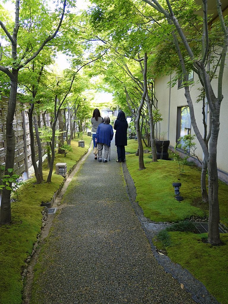 母の日 梅の花 小倉店 みりうノオト 楽天ブログ