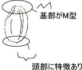 a-kome2