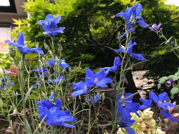 rblog-20180430174801-03.jpg