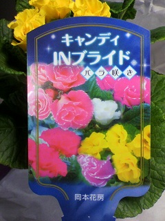 2013011823020001.jpg